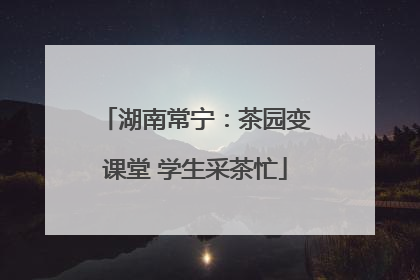 湖南常宁：茶园变课堂 学生采茶忙