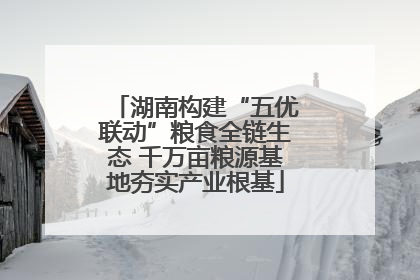 湖南构建“五优联动”粮食全链生态 千万亩粮源基地夯实产业根基