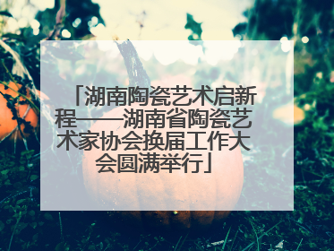 湖南陶瓷艺术启新程——湖南省陶瓷艺术家协会换届工作大会圆满举行