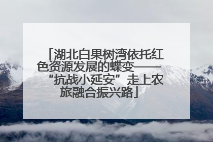 湖北白果树湾依托红色资源发展的蝶变——“抗战小延安”走上农旅融合振兴路