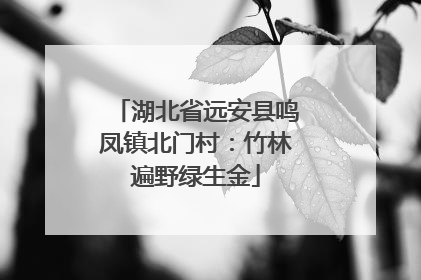 湖北省远安县鸣凤镇北门村：竹林遍野绿生金