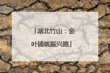 湖北竹山：金叶铺就振兴路