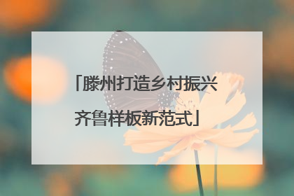 滕州打造乡村振兴齐鲁样板新范式