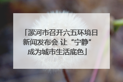 漯河市召开六五环境日新闻发布会 让“宁静”成为城市生活底色