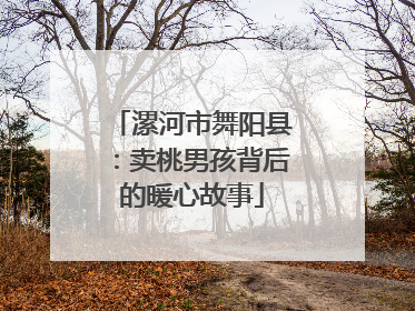 漯河市舞阳县：卖桃男孩背后的暖心故事