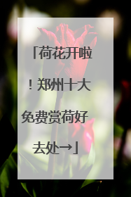 荷花开啦！郑州十大免费赏荷好去处→