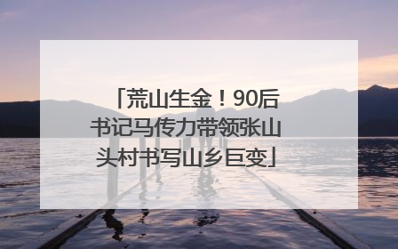 荒山生金！90后书记马传力带领张山头村书写山乡巨变