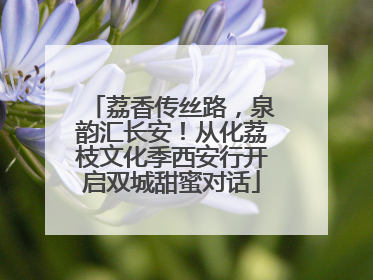 荔香传丝路，泉韵汇长安！从化荔枝文化季西安行开启双城甜蜜对话