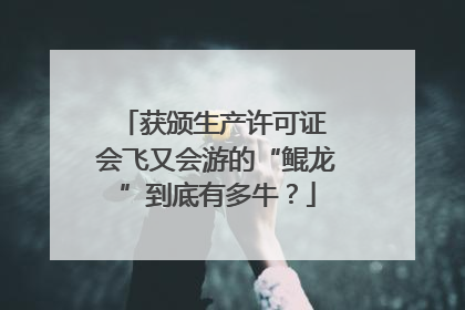 获颁生产许可证 会飞又会游的“鲲龙”到底有多牛？