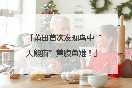 莆田首次发现鸟中“大熊猫”黄腹角雉！