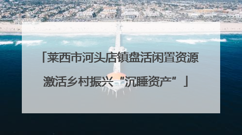 莱西市河头店镇盘活闲置资源 激活乡村振兴“沉睡资产”