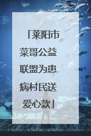 莱阳市菜哥公益联盟为患病村民送爱心款