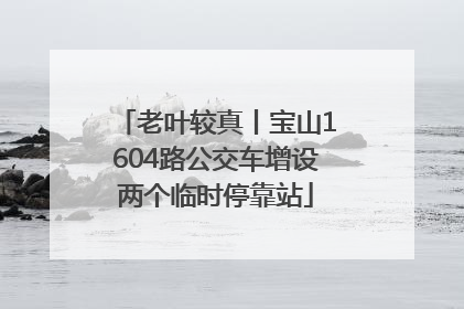 老叶较真丨宝山1604路公交车增设两个临时停靠站