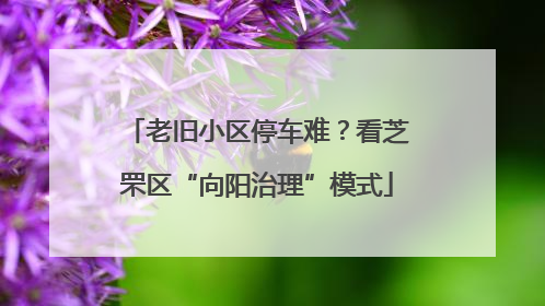 老旧小区停车难？看芝罘区“向阳治理”模式