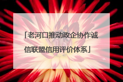老河口推动政企协作诚信联盟信用评价体系
