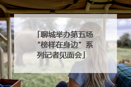 聊城举办第五场“榜样在身边”系列记者见面会