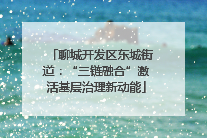 聊城开发区东城街道：“三链融合”激活基层治理新动能