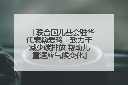 联合国儿基会驻华代表桑爱玲：致力于减少碳排放 帮助儿童适应气候变化