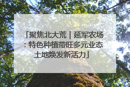 聚焦北大荒｜延军农场：特色种植带旺多元业态 土地焕发新活力