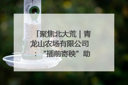 聚焦北大荒｜青龙山农场有限公司：“插前寄秧”助力农业节本增效