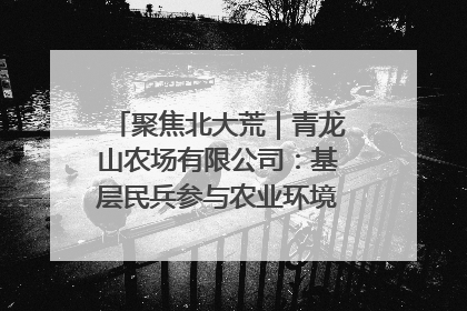 聚焦北大荒｜青龙山农场有限公司：基层民兵参与农业环境综合治理显效