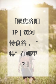聚焦济阳IP｜黄河特食谷，“特”在哪里？