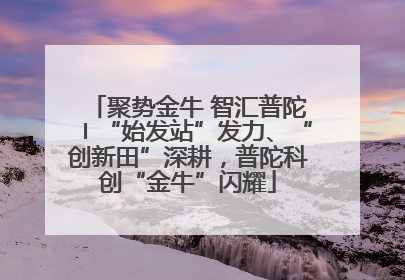 聚势金牛 智汇普陀〡“始发站”发力、“创新田”深耕，普陀科创“金牛”闪耀