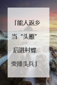 能人返乡当“头雁” 后进村蝶变排头兵
