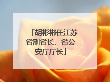 胡彬郴任江苏省副省长、省公安厅厅长