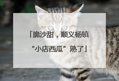 脆沙甜，顺义杨镇“小店西瓜”熟了