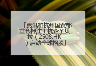 腾讯和杭州国资都重仓押注！杭企圣贝拉（2508.HK）启动全球招股