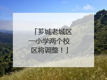 芗城老城区一小学两个校区将调整！