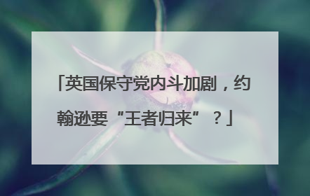 英国保守党内斗加剧，约翰逊要“王者归来”？