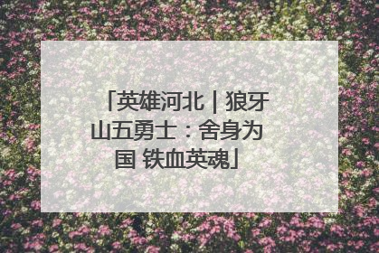 英雄河北｜狼牙山五勇士：舍身为国 铁血英魂