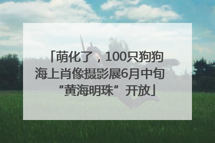 萌化了，100只狗狗海上肖像摄影展6月中旬“黄海明珠”开放