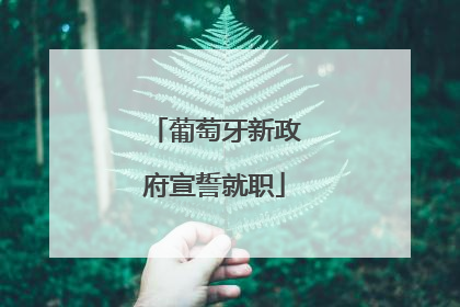 葡萄牙新政府宣誓就职