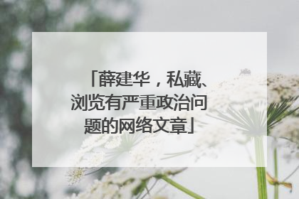 薛建华，私藏、浏览有严重政治问题的网络文章