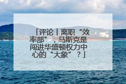 评论丨离职“效率部”，马斯克是闯进华盛顿权力中心的“大象”？