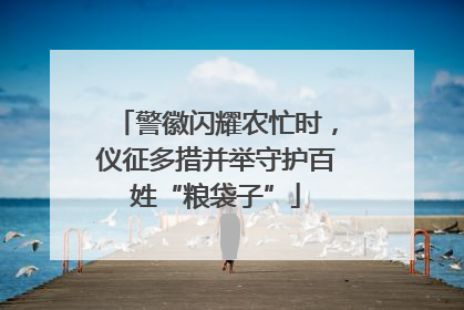 警徽闪耀农忙时，仪征多措并举守护百姓“粮袋子”