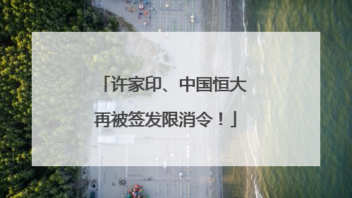 许家印、中国恒大再被签发限消令！