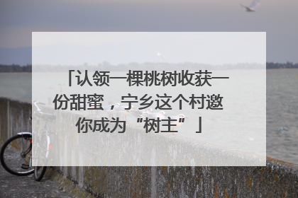 认领一棵桃树收获一份甜蜜，宁乡这个村邀你成为“树主”