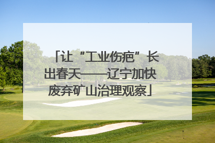 让“工业伤疤”长出春天——辽宁加快废弃矿山治理观察