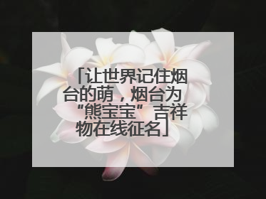 让世界记住烟台的萌，烟台为“熊宝宝”吉祥物在线征名