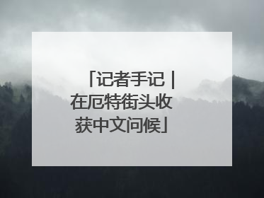 记者手记｜在厄特街头收获中文问候