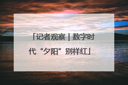 记者观察｜数字时代“夕阳”别样红