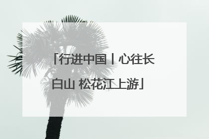 行进中国丨心往长白山 松花江上游