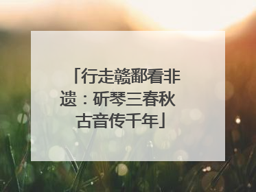 行走赣鄱看非遗：斫琴三春秋 古音传千年