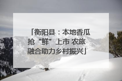 衡阳县：本地香瓜抢“鲜”上市 农旅融合助力乡村振兴