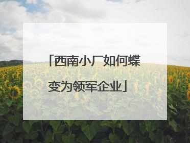 西南小厂如何蝶变为领军企业