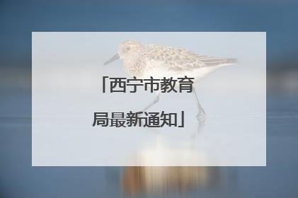 西宁市教育局最新通知